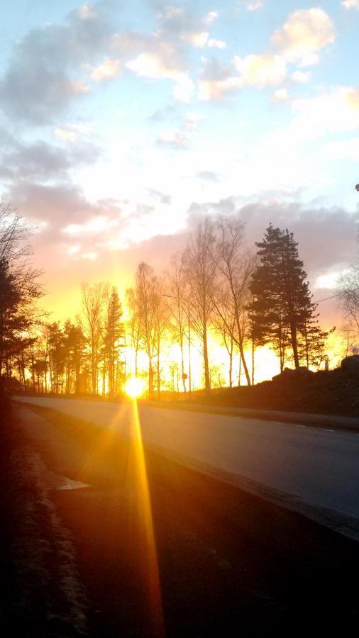Gardshuset Villa Söderhamn Dış mekan fotoğraf